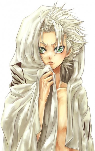 Hitsugaya Toushirou Hitsugaya Toushirou