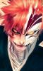 Hollow Ichigo